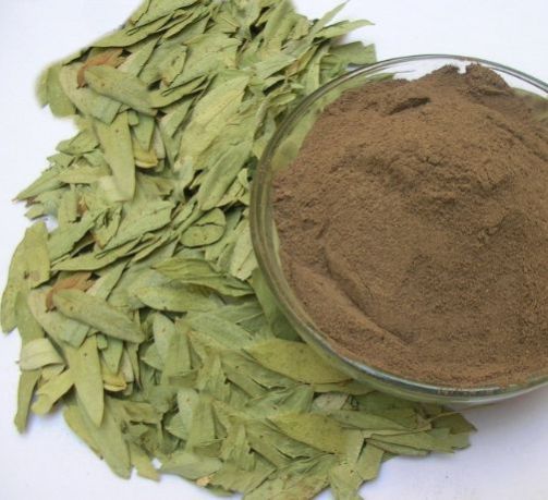 Senna leaves powder
