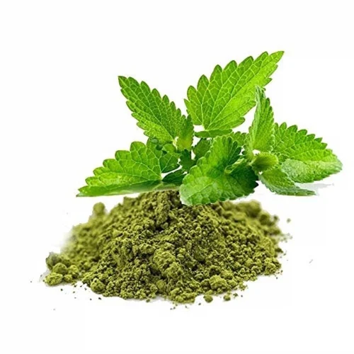 Basil powder