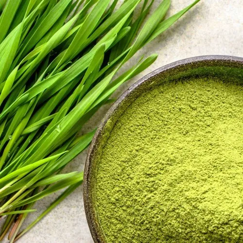 Wheat grass powder