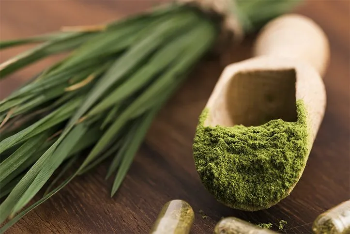 Barley powder