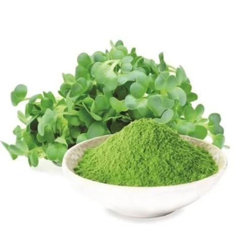 Alfalfa powder