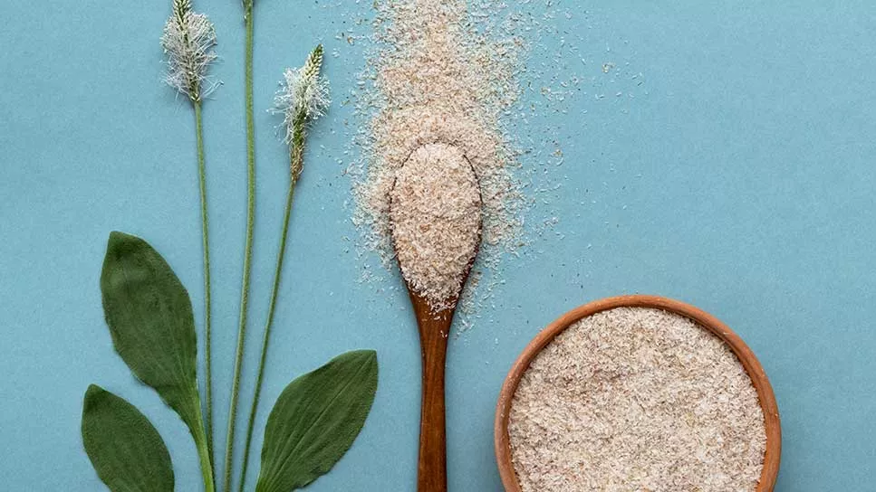 Psyllium husk powder