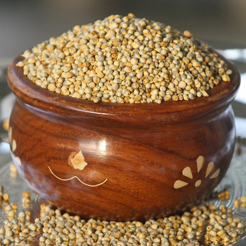 Pearl Millet (Bajra)