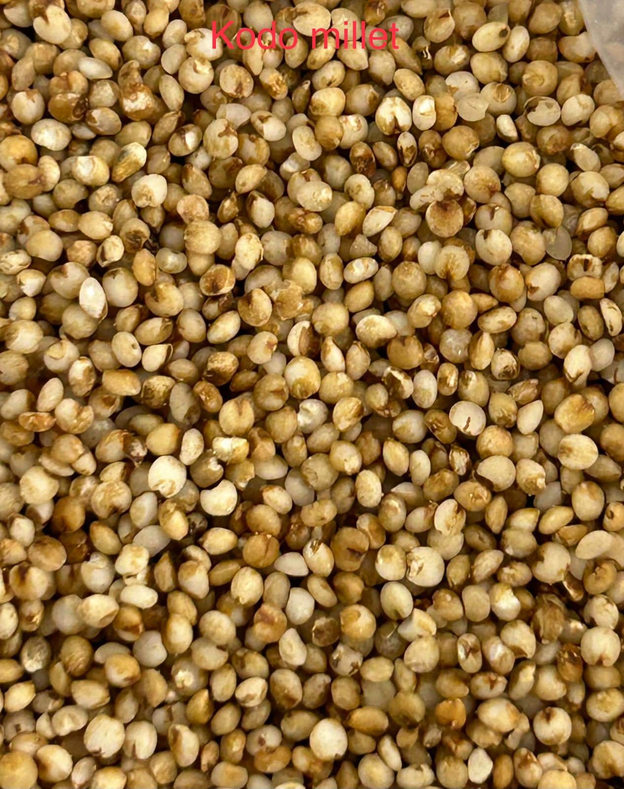 Kodo Millet (Kodon)