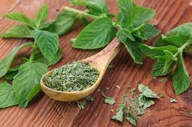 Spearmint tea