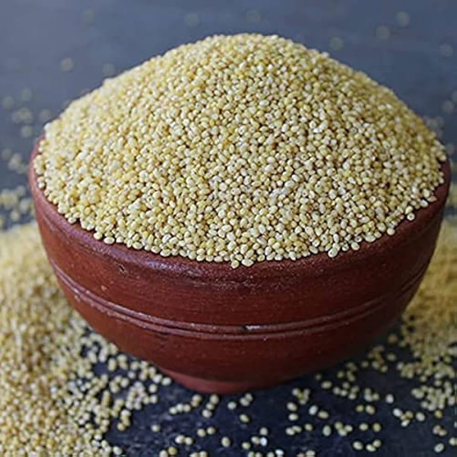 Kutki Millet (Panicum sumatrense)