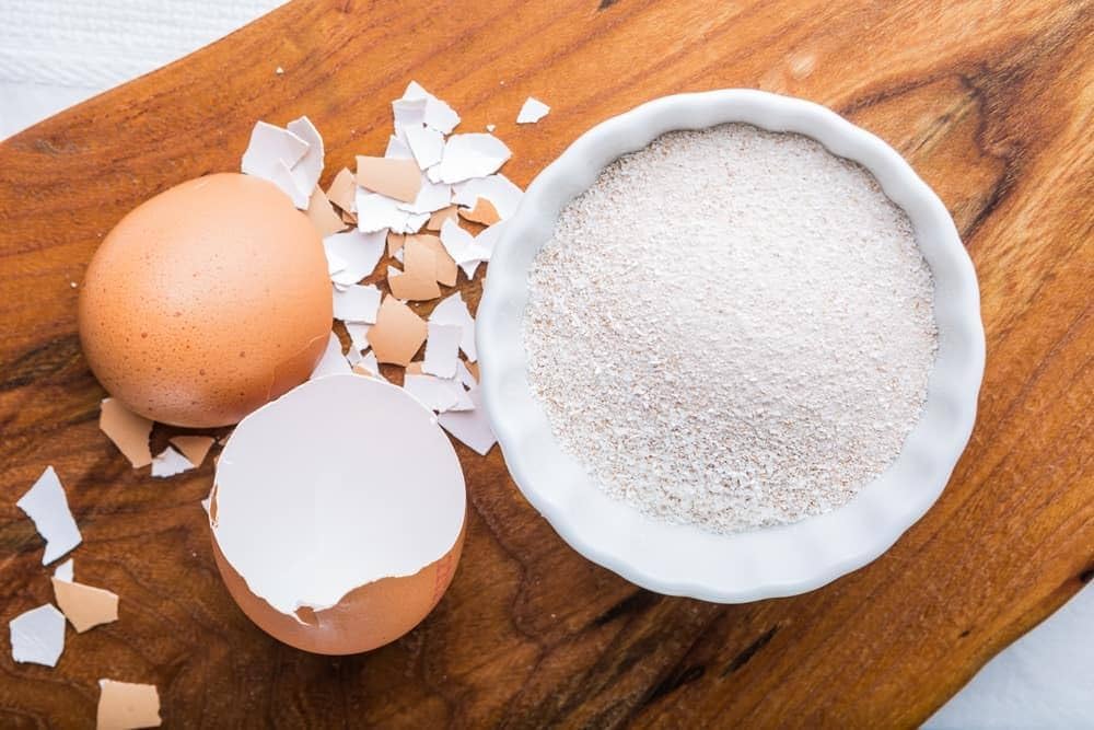 Egg shell powder