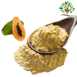 raw-papaya-powder-1000x1000 (1)